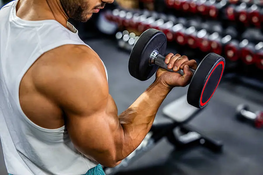 Gym-supplements-for-muscle-building.jpg
